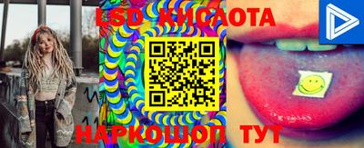 сатива Малгобек