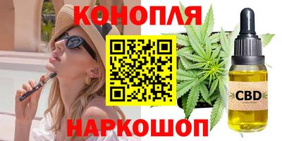 сатива Малгобек
