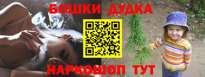 сатива Малгобек