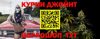 сатива Малгобек