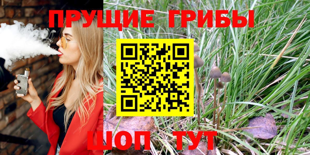 закладки  Вход с VPN  Ярцево  Галлюциногенные грибы Psilocybe 
