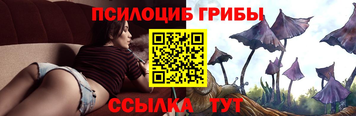 Псилоцибиновые грибы мухоморы Ярцево
